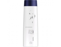  System Professional -  Шампунь для светлых оттенков волос Silver Shampoo (250 мл)